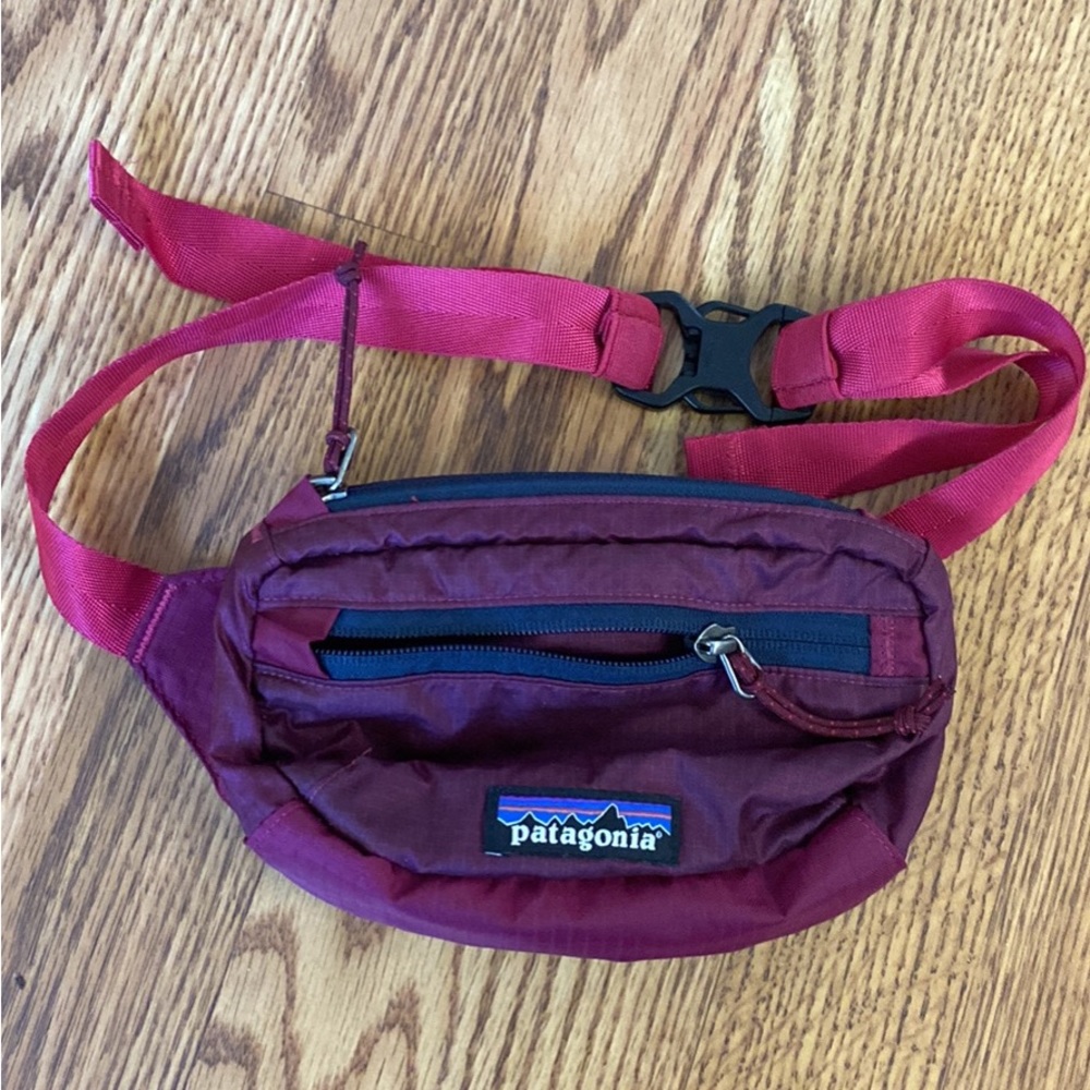 Patagonia Hip Pack
